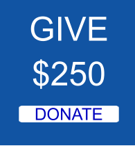 GIVE $250 DONATE